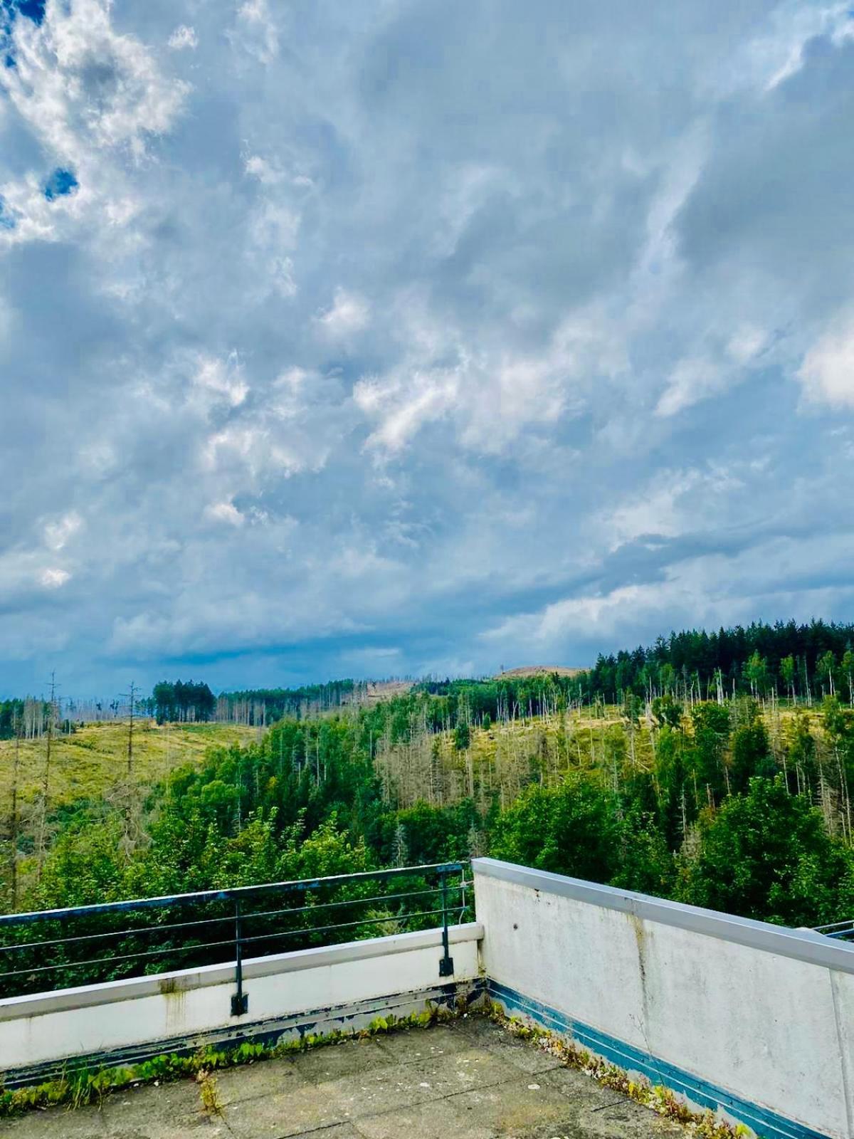 Terrassenhaus Im Harz, Pool, Sauna, Wlan Braunlage Eksteriør billede
